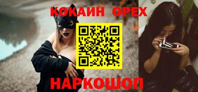стаф Гатчина
