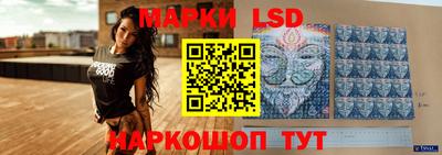 стаф Гатчина