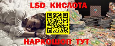 стаф Гатчина