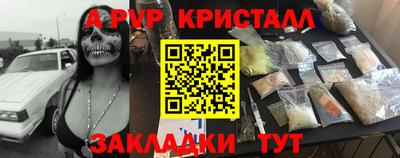 стаф Гатчина