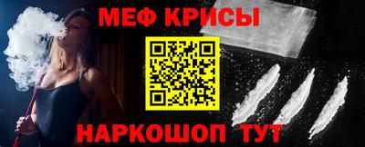 стаф Гатчина