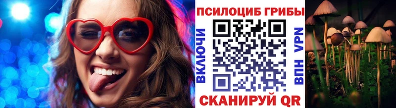Псилоцибиновые грибы GOLDEN TEACHER  хочу   Гудермес 