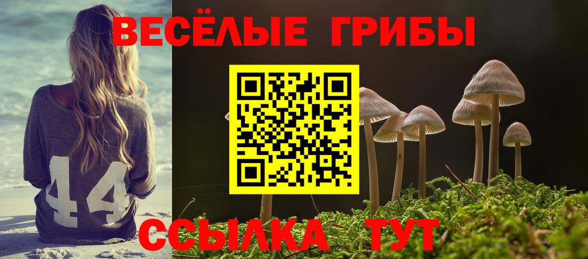 Псилоцибиновые грибы Cubensis  Вход с VPN  цена наркотик  Гудермес 