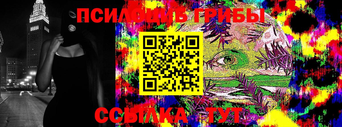 Псилоцибиновые грибы GOLDEN TEACHER Гудермес