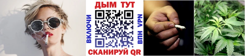 Бошки Шишки тримм  где можно купить   Гудермес 