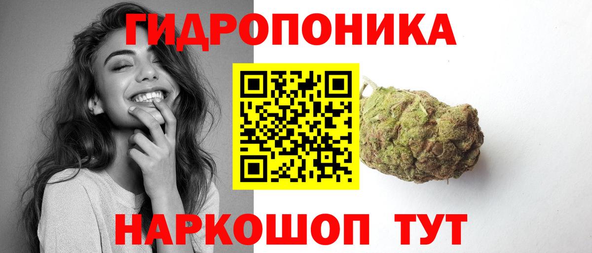 Бошки марихуана MAZAR Гудермес